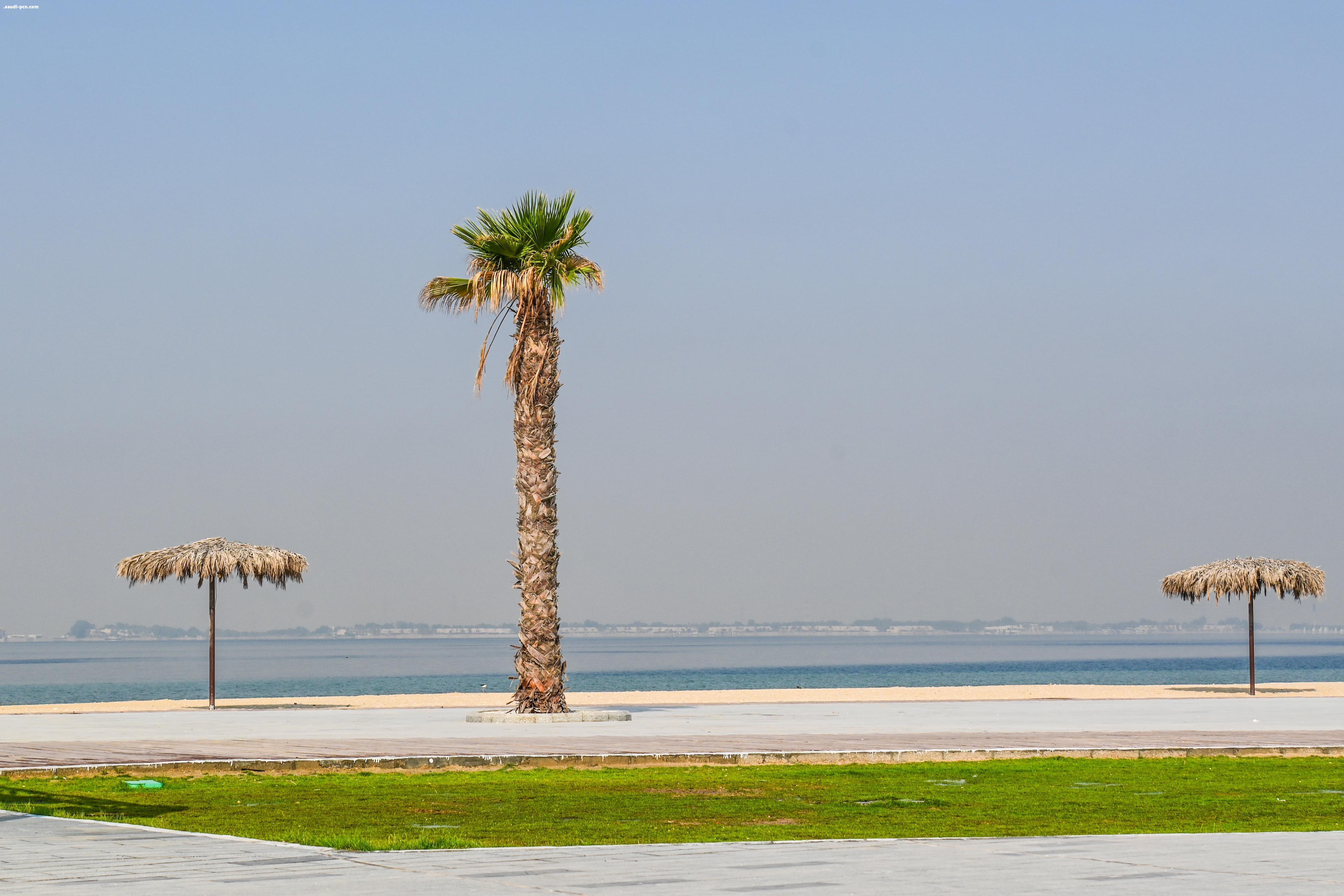 شاطئ نصف القمر بالظهران وجهة سياحية بحرية مثالية بخدمات متكاملة